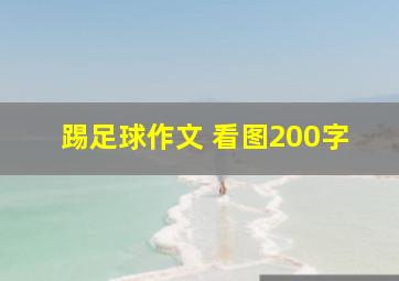 踢足球作文 看图200字